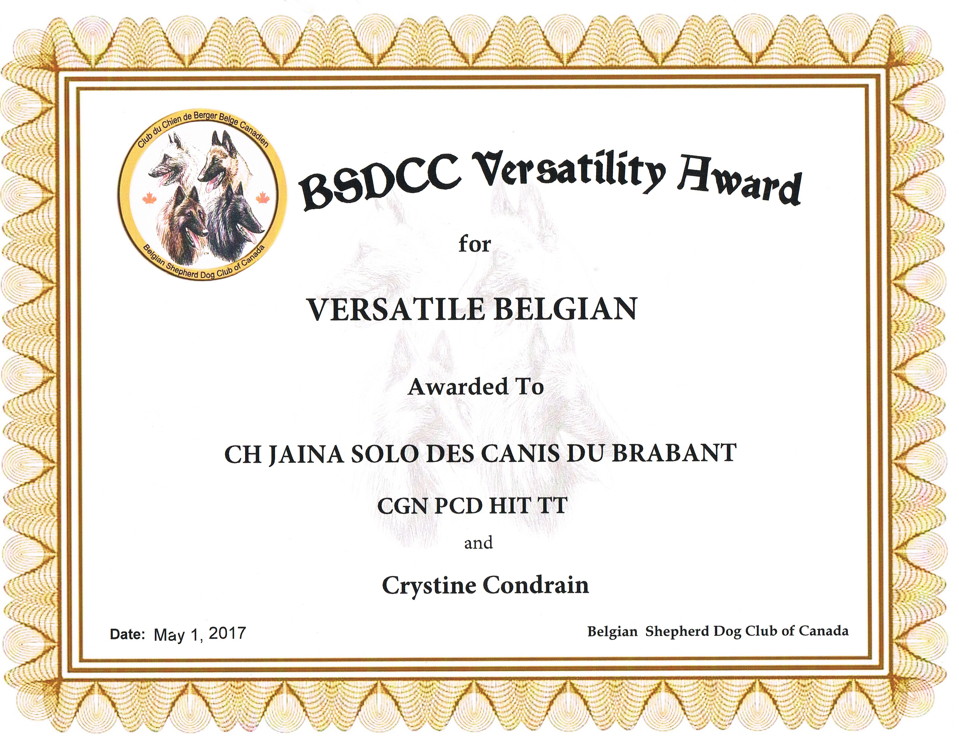 Certificat de Jaina - BSDCC Versatile Belgian