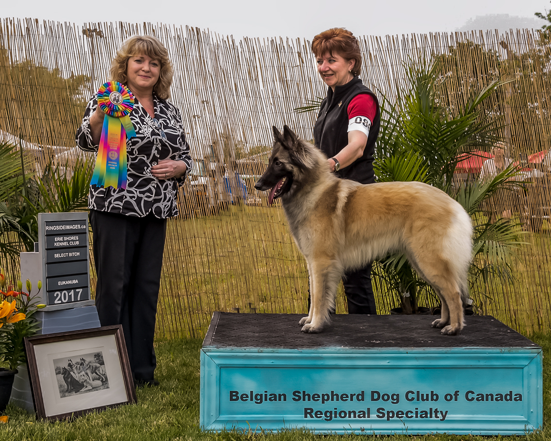 Jaina - Female Select at the Regional Specialty BSDCC - Caledonia 2017