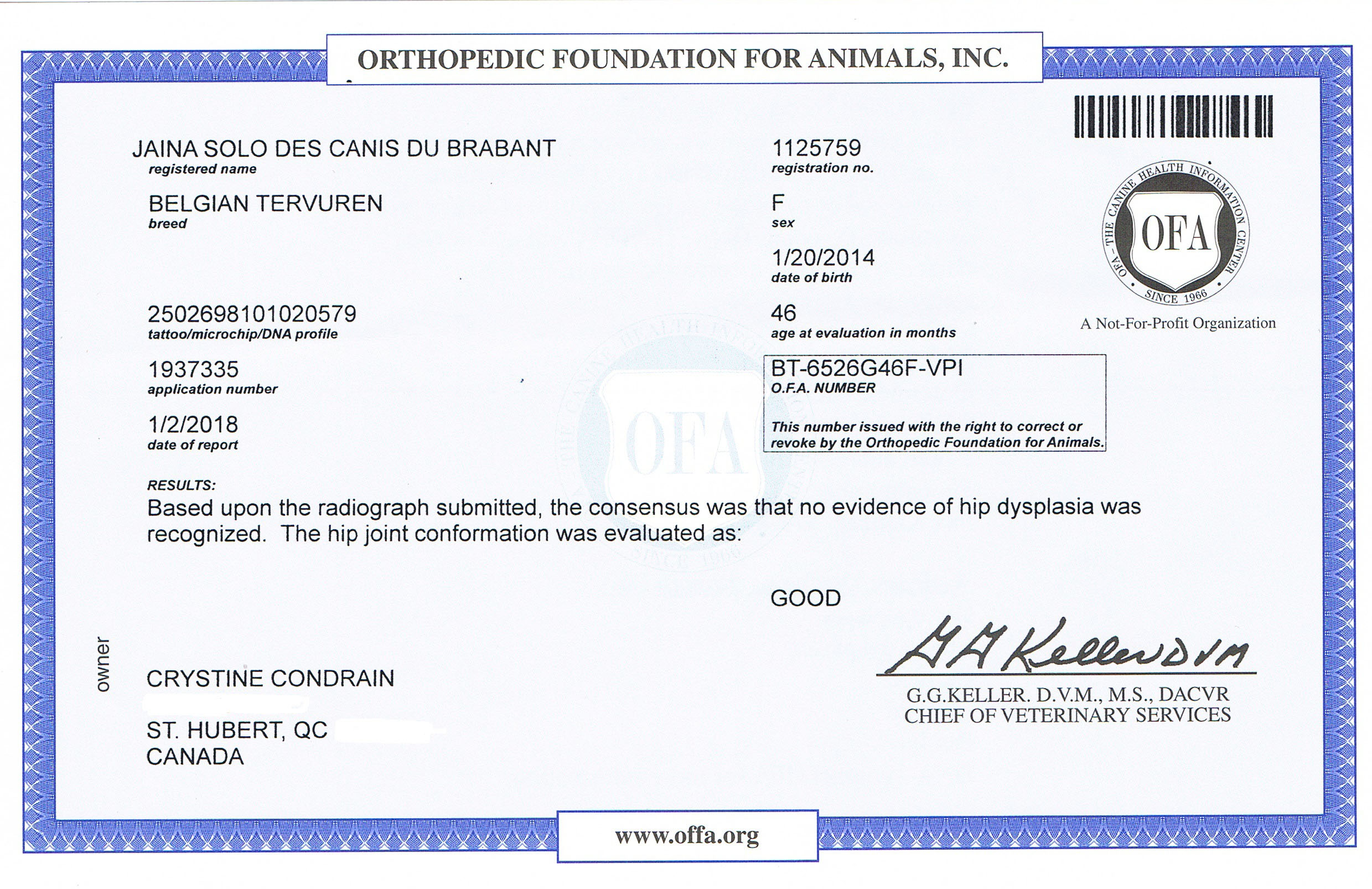 Hip Radiography Certificate - OFA